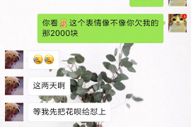 平安催收电话为什么？